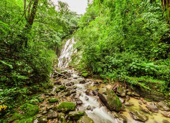 Aventure au Panama, jungle tropicale, océan Pacifique et mer des Caraïbes