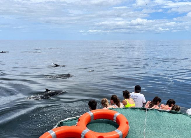 Aventure et camp de surf au Costa Rica