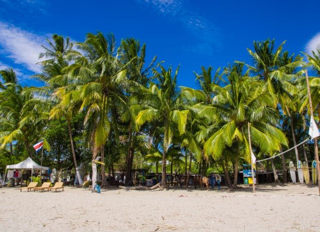 Aventure et camp de surf au Costa Rica