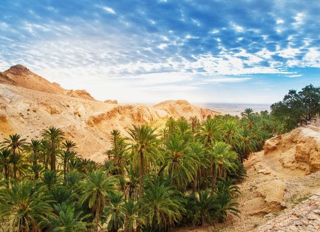 Aventures sahariennes en Tunisie