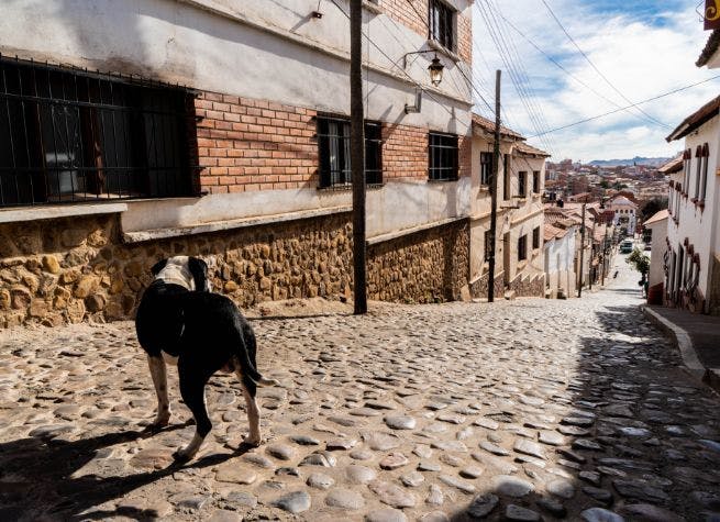 Bolivie : découverte culturelle, touristique et communautaire