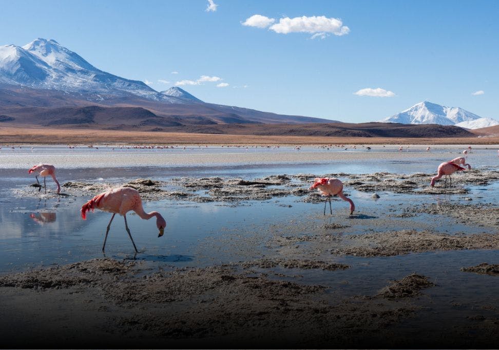 Bolivie : découverte culturelle, touristique et communautaire