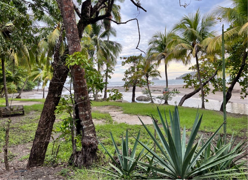 Costa Rica : Volontariat à la Playa Junquillal