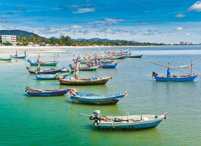 Culture thaïlandaise, éléphants et plage tropicale