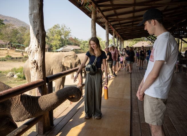 Culture thaïlandaise, éléphants et projet communautaire