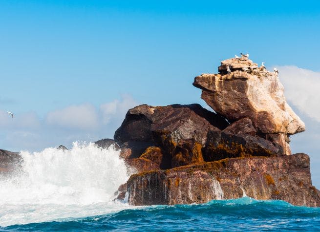Équateur, Andes et Îles Galapagos