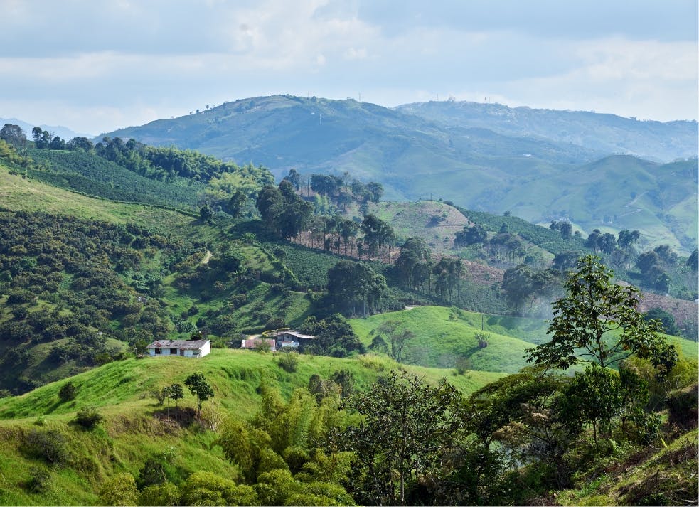 Expérience Colombie, découverte culturelle et naturelle