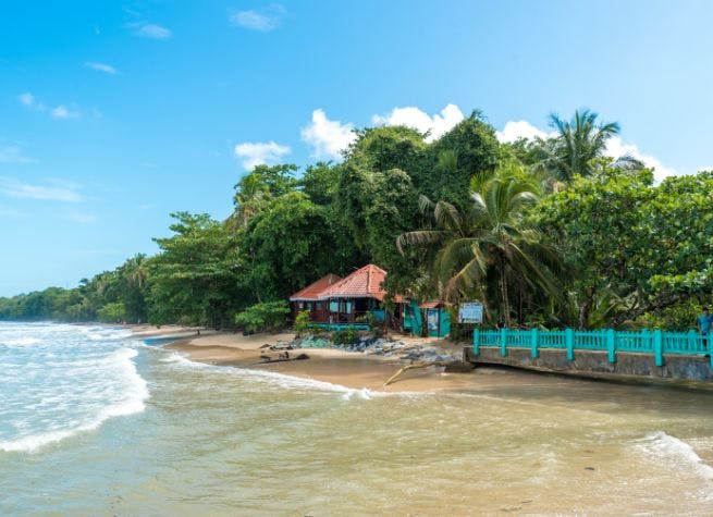 Expérience communautaire à Coopecuna et découvertes caribéennes au Costa Rica