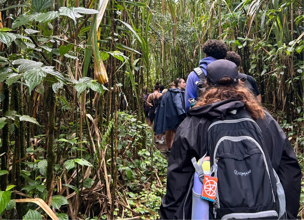 Expérience communautaire à Juanilama, reboisement et découvertes tropicales au Costa Rica