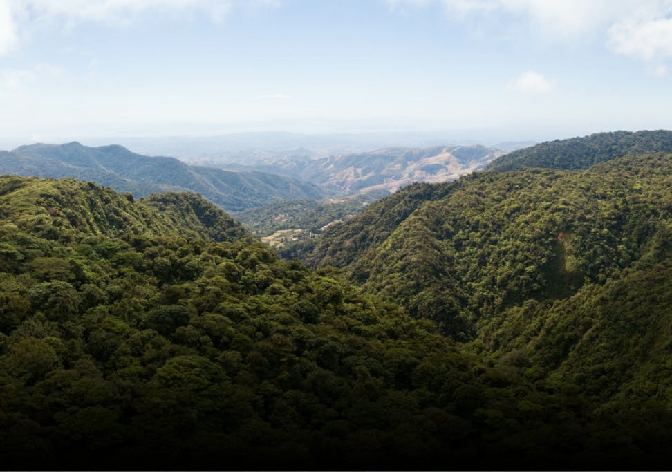 Expérience communautaire à Juanilama, reboisement et découvertes tropicales au Costa Rica