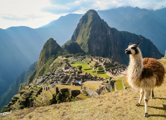 Expérience communautaire au Pérou, Machu Picchu et Lac Titicaca 