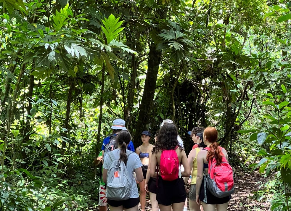 Expérience Costa Rica : mer des Caraïbes, jungle tropicale et océan Pacifique