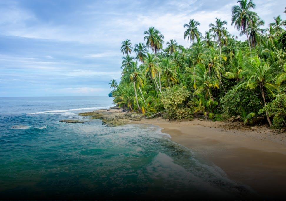 Expérience Costa Rica : mer des Caraïbes, jungle tropicale et océan Pacifique