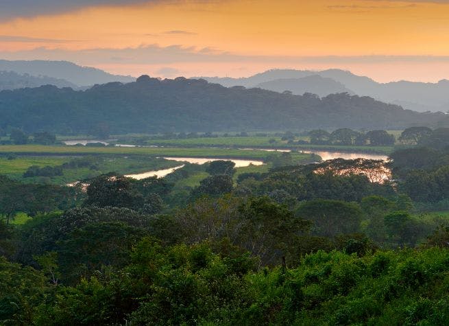 Expérience éco-communautaire et immersion tropicale au Costa Rica