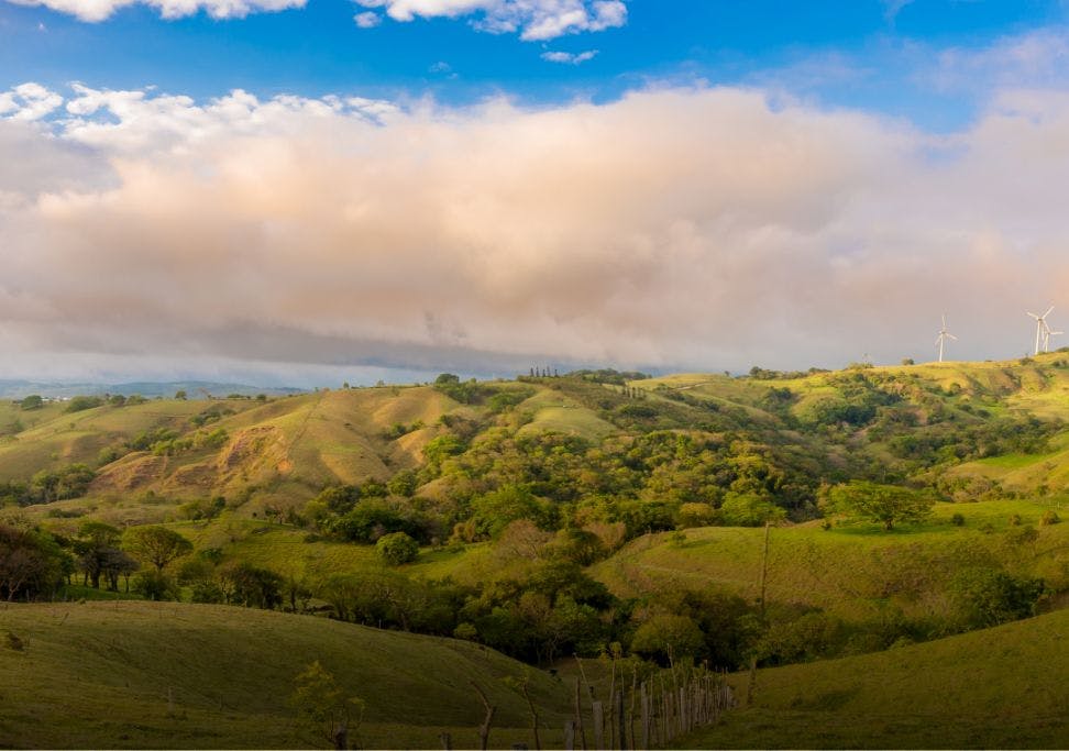 Expérience éco-communautaire et immersion tropicale au Costa Rica