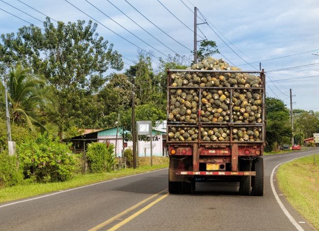 Immersion linguistique au Costa Rica