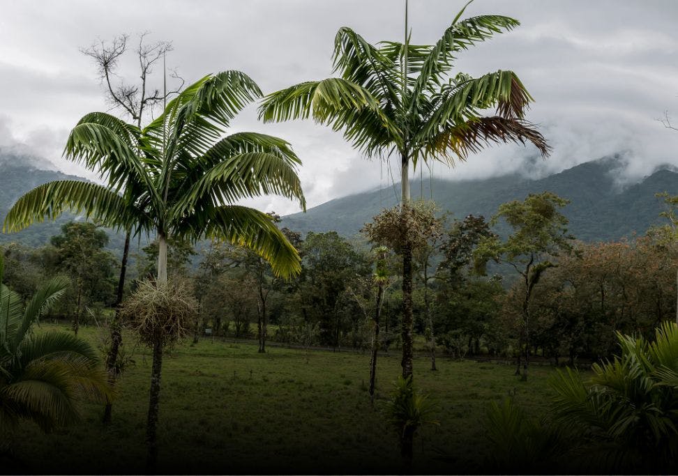 Immersion linguistique au Costa Rica