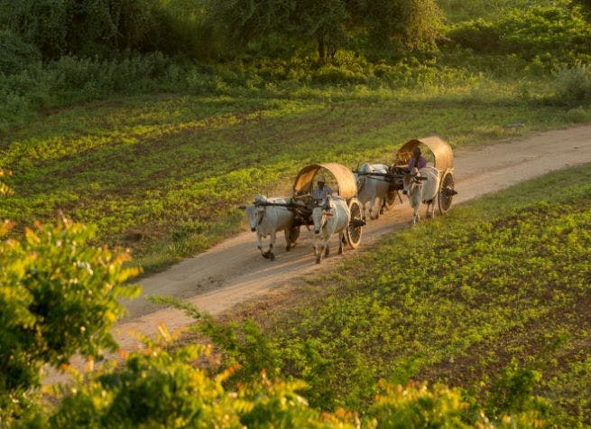 Les secrets du Cambodge