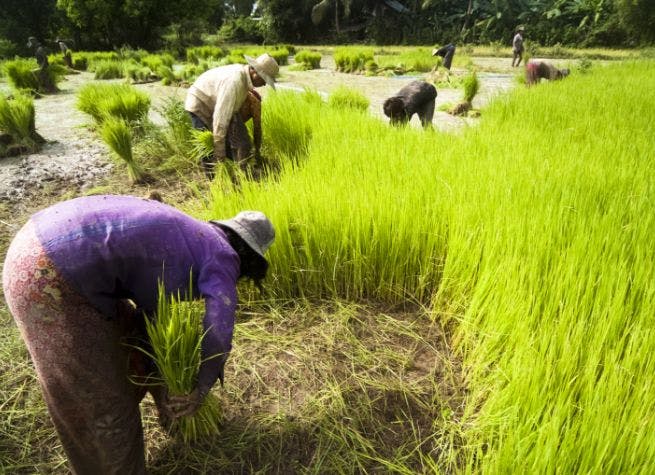 Les secrets du Cambodge