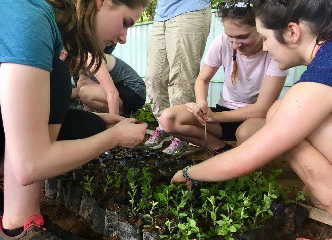 Séjour communautaire à San Juan, au cœur des tropiques du Costa Rica