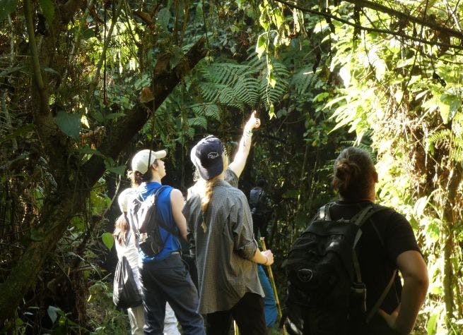 Séjour communautaire à San Juan, au cœur des tropiques du Costa Rica