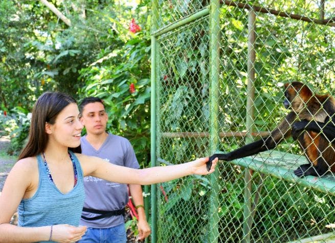 Séjour communautaire à San Juan, au cœur des tropiques du Costa Rica