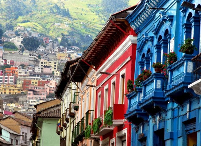 Séjour communautaire Iluman, Andes et Forêt Nuageuse