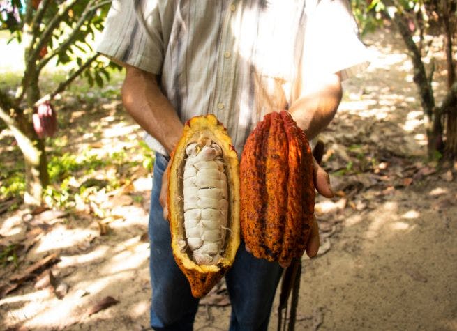 Séjour communautaire Iluman, Andes et Forêt Nuageuse