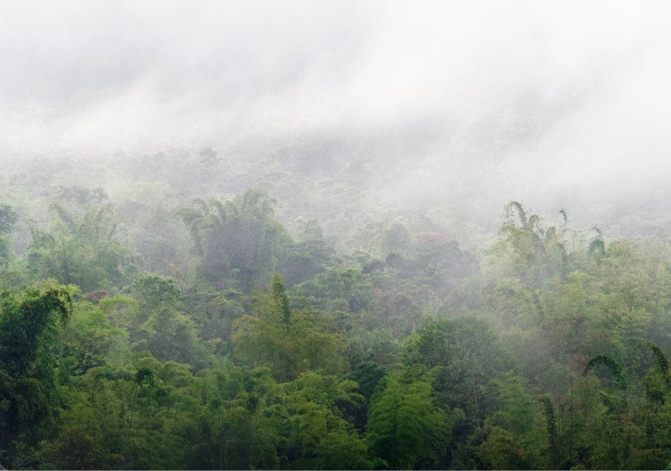 Séjour communautaire Iluman, Andes et Forêt Nuageuse