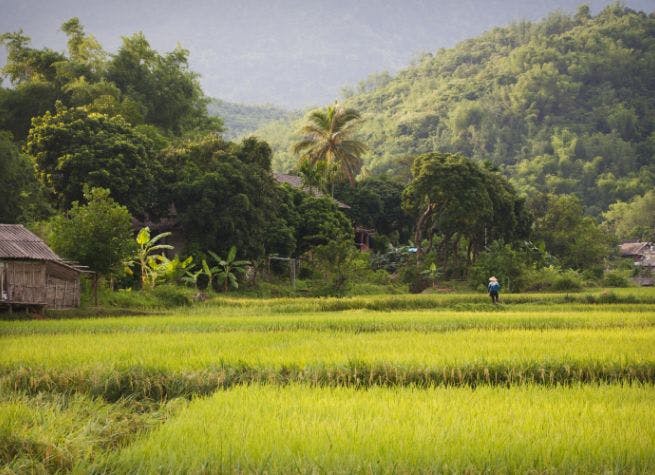 Vietnam magique