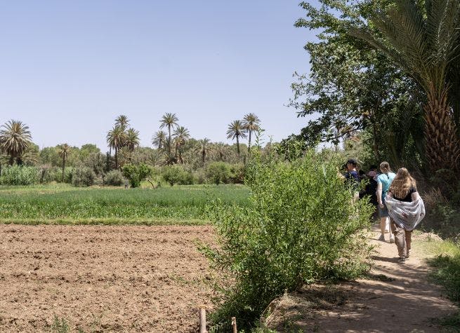 Voyage au Maroc, choc des cultures, traditions ancestrales et partage communautaire