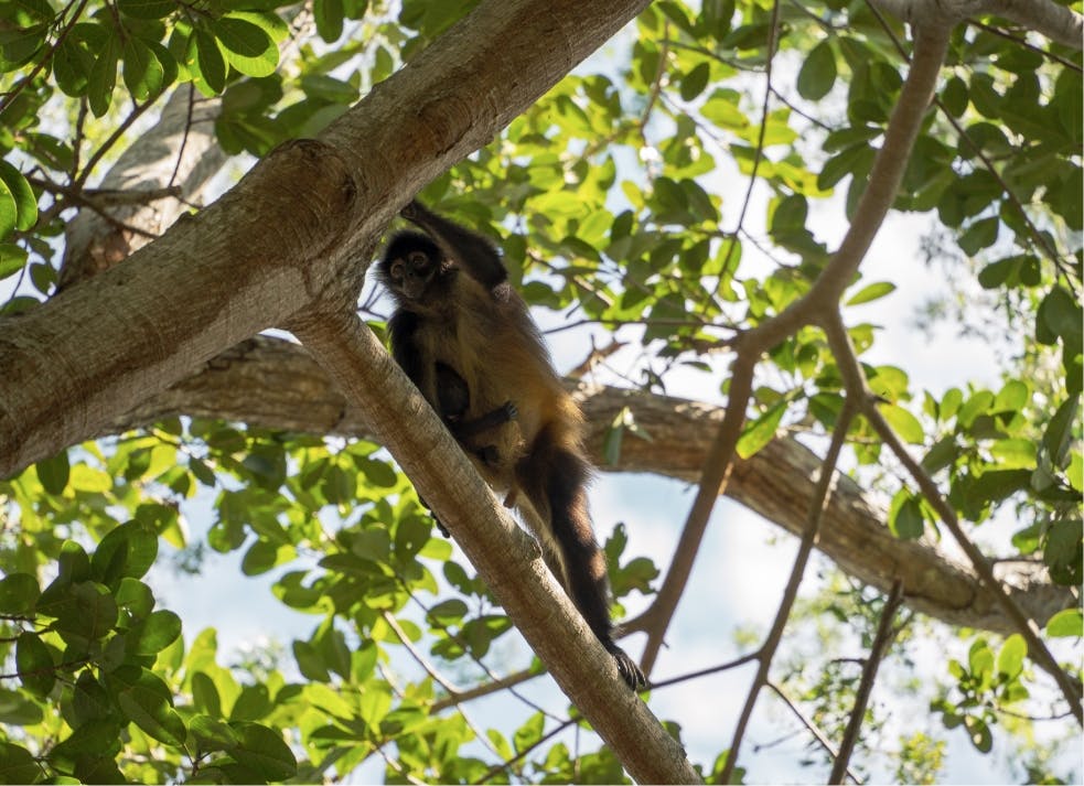 Voyage communautaire au Salvador, terre de volcans